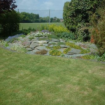 Rockery in spring